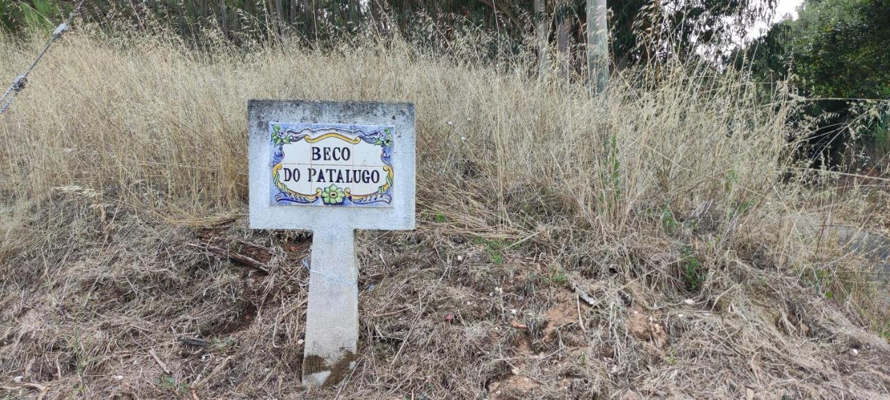 דירות Salir de Matos Beco Do Patalugo מראה חיצוני תמונה